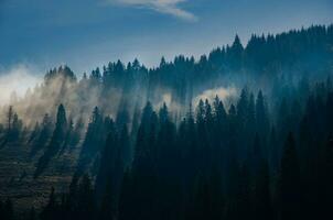 brouillard. Matin brouillard dans le hauts plateaux. magnifique spectaculaire hauts plateaux paysage. photo