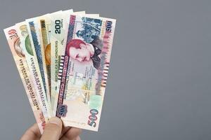 honduran argent dans le main sur une gris Contexte photo