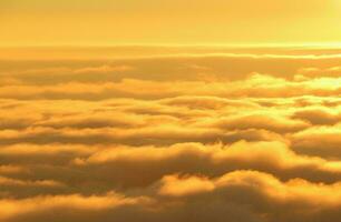 tropical mer le coucher du soleil arbre ciel vue Contexte photo