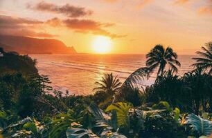 tropical mer le coucher du soleil arbre ciel vue Contexte photo