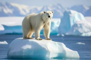 polaire ours sur iceberg dans ses Naturel habitat dans le Arctique cercle. ai généré photo