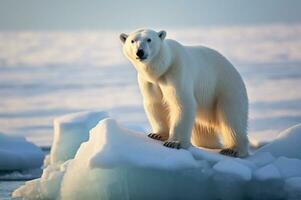 polaire ours sur iceberg dans ses Naturel habitat dans le Arctique cercle. ai généré photo