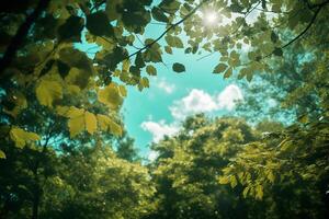 vert arbre feuilles dans jardin ai génératif photo