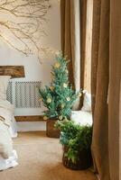 confortable intérieur décoré pour Noël dans scandinave style. vivre sapin des arbres décoré avec Naturel ornements fabriqué de séché des oranges photo
