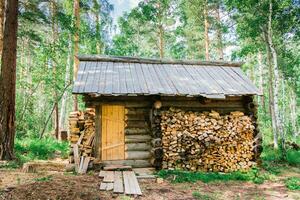 une solitaire vieux maison de le forestier et une pile de bois de chauffage proche dans une forêt clairière dans le sibérien taïga photo