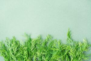 branches de Frais aneth sur une vert Contexte dans une ligne. vitamine herbes dans une en bonne santé régime. Haut voir. copie espace photo