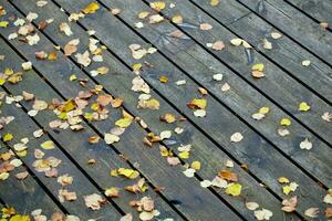 planches avec feuilles Contexte. photo