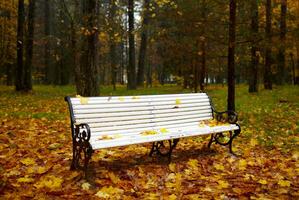 banc dans le l'automne parc. photo