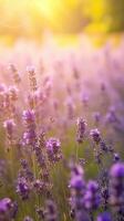 lavande fleurs volé épanouissement plus de été paysage ,fermer vue, générative ai photo