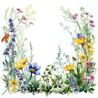 cadre floral aquarelle photo