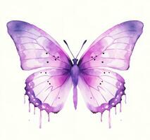 aquarelle papillon isolé photo