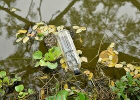 jetable clair Plastique bouteilles dans Naturel l'eau sources. environnement pollution. disposer de des ordures est ne pas le droite lieu. photo