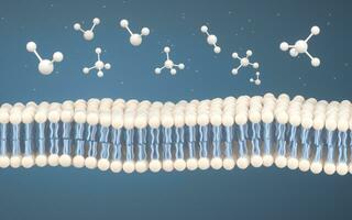 cellule membrane et molécules, 3d le rendu. photo