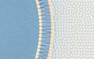 cellule membrane avec bleu arrière-plan, 3d le rendu. photo