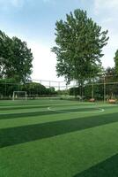 le Football champ dans une Publique parc. photo