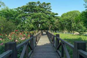 le en bois passerelle dans le Publique parc. photo