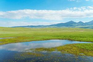 enroulement rivières et prairies. photo dans bayinbuluke prairie dans xinjiang, Chine.