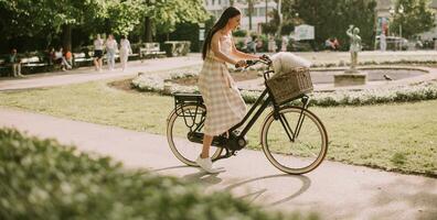 jeune femme avec chien bichon blanc frisé dans le panier de vélo électrique photo