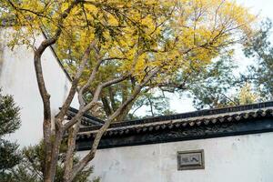 le l'automne dans le parc de Suzhou jardin dans Chine photo