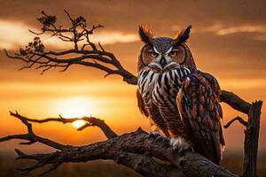 une génial cornu hibou perché sur une arbre branche dans une forêt. photo