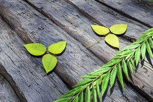 feuilles épars sur le en bois tableau, 3d le rendu. photo