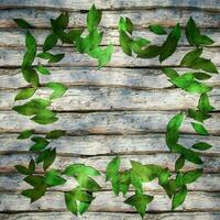 feuilles épars sur le en bois tableau, 3d le rendu. photo