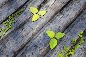 feuilles épars sur le en bois tableau, 3d le rendu. photo