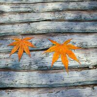 feuilles épars sur le en bois tableau, 3d le rendu. photo