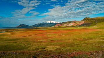 snaefellsjokull volcan de pointe couvert avec neige casquette. panoramique plus de islandais coloré et sauvage paysage avec Prairie et mousse champ, volcanique noir le sable et lave à été, Islande photo