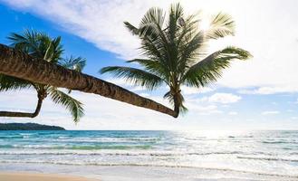 belle plage tropicale et mer avec cocotier sous ciel bleu photo