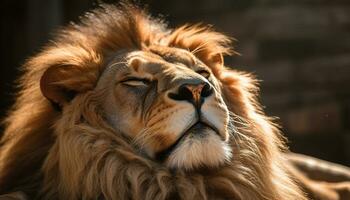 majestueux lion, Roi de le savane, repos dans le région sauvage généré par ai photo