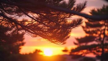 silhouette de arbre contre brillant coucher de soleil, reflétant sur tranquille l'eau généré par ai photo