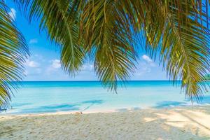 belle plage tropicale et mer photo