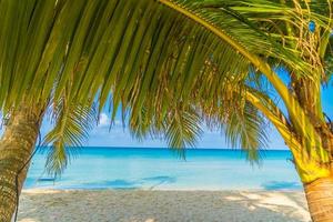 belle plage tropicale et mer photo