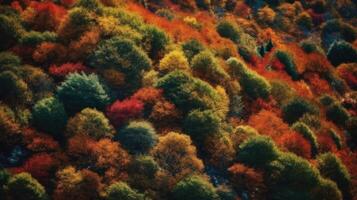 des arbres sont rouge et Orange dans l'automne ai génératif photo