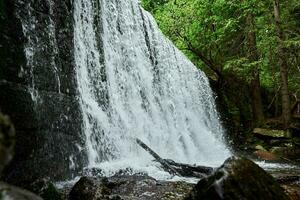 cascade sur lomnica rivière dans Karpacz, Pologne photo