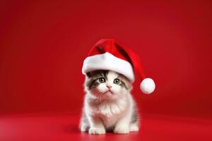 chaton portant Père Noël chapeau sur rouge Contexte avec copie espace. ai généré photo