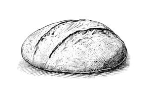 pain de pain. vecteur main tiré ancien gravure style vecteur illustration. photo