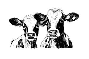 deux alpin vache vecteur main tiré gravure style illustration photo