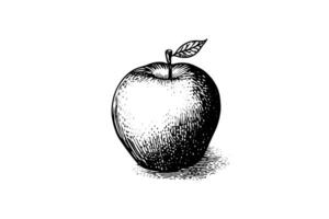 Pomme fruit main tiré gravure style vecteur illustrations. photo