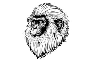 singe tête ou visage main tiré vecteur illustration dans gravure style encre esquisser. photo