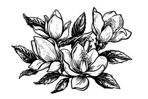 main tiré magnolia fleur encre esquisser. gravure style vecteur illustration. photo