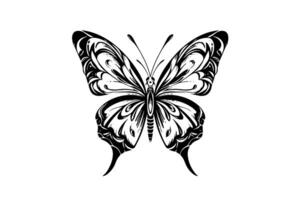 papillon esquisser. main tiré gravure style vecteur illustration. photo