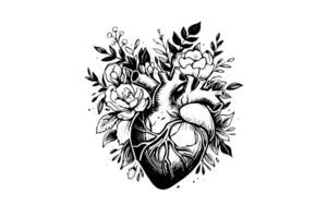 Valentin journée carte ancien illustration. floral anatomique cœur. vecteur illustration photo