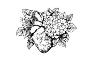 Valentin journée carte ancien illustration. floral anatomique cœur. vecteur illustration. photo
