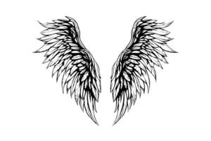 ange ailes encre esquisser dans gravure style. main tiré ailes vecteur illustration. photo