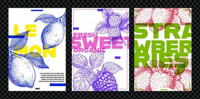 fraises, citron et framboises. ensemble de vecteur affiches, bannières, modèle conception. typographie. ancien crayon esquisser. gravure style. Étiquettes, couverture, T-shirt imprimer, peinture. photo