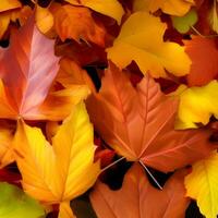 l'automne orange, feuilles tomber Aléatoire arrière-plan, feuille abstrait élément Extérieur photo