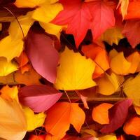 l'automne orange, feuilles tomber Aléatoire arrière-plan, feuille abstrait élément Extérieur photo