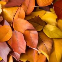 l'automne orange, feuilles tomber Aléatoire arrière-plan, feuille abstrait élément Extérieur photo